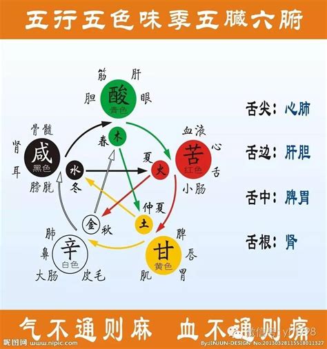 蓝色五行|易经中的五行对应颜色